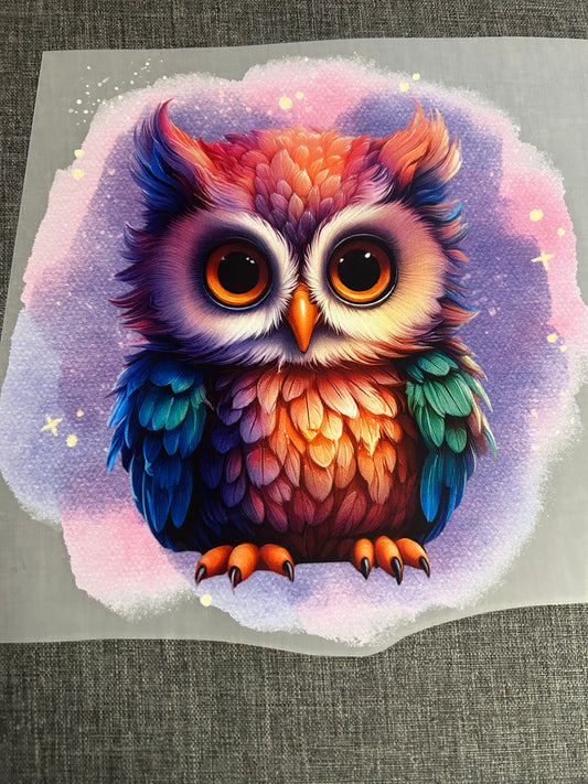 Bügelbild "Eule bunt"