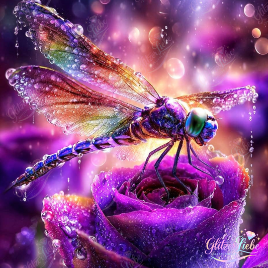 CP "Regenbogenlibelle“ by Ray Spark